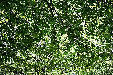 PS博客2024年度最佳游戏投票开启 《黑神话：悟空》获两项提名