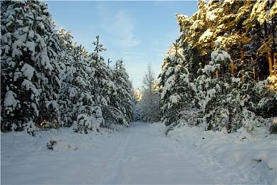 《波斯王子：失落的王冠》Steam版本现已正式推出 下月将推出全新DLC