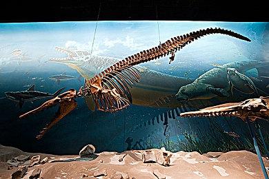 《上古卷轴4》重制版登顶美日PS5下载榜 超越怪猎